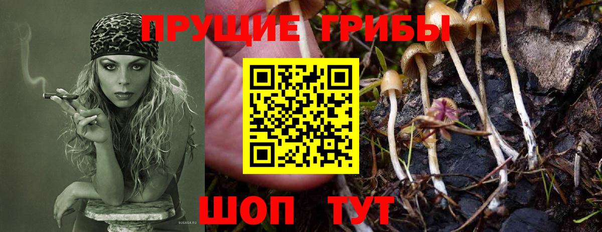 Псилоцибиновые грибы Magic Shrooms Канаш